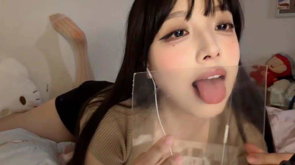 小鸟大王亚克力舔舐